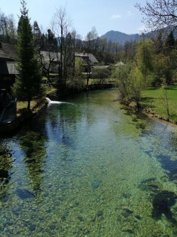 Wunderschone Ferienwohnung Mit Blick Auf Die Karawanken Zgornje Gorje Exterior foto