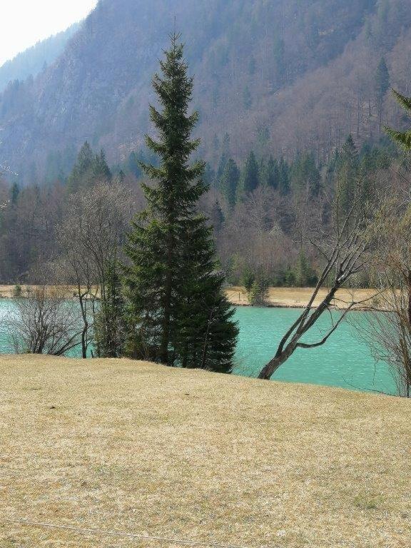 Wunderschone Ferienwohnung Mit Blick Auf Die Karawanken Zgornje Gorje Exterior foto