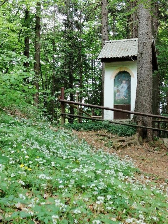 Wunderschone Ferienwohnung Mit Blick Auf Die Karawanken Zgornje Gorje Exterior foto