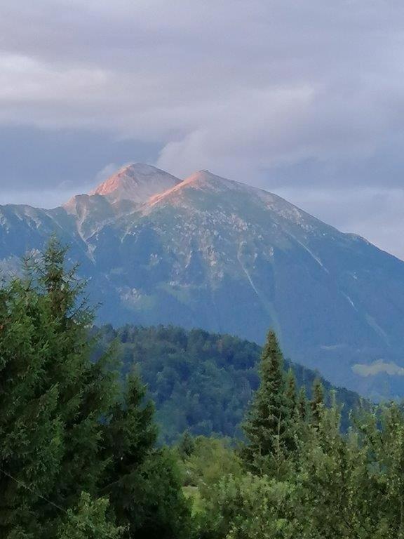 Wunderschone Ferienwohnung Mit Blick Auf Die Karawanken Zgornje Gorje Exterior foto