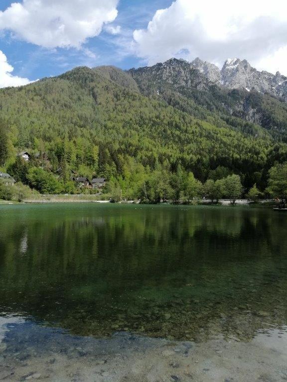 Wunderschone Ferienwohnung Mit Blick Auf Die Karawanken Zgornje Gorje Exterior foto