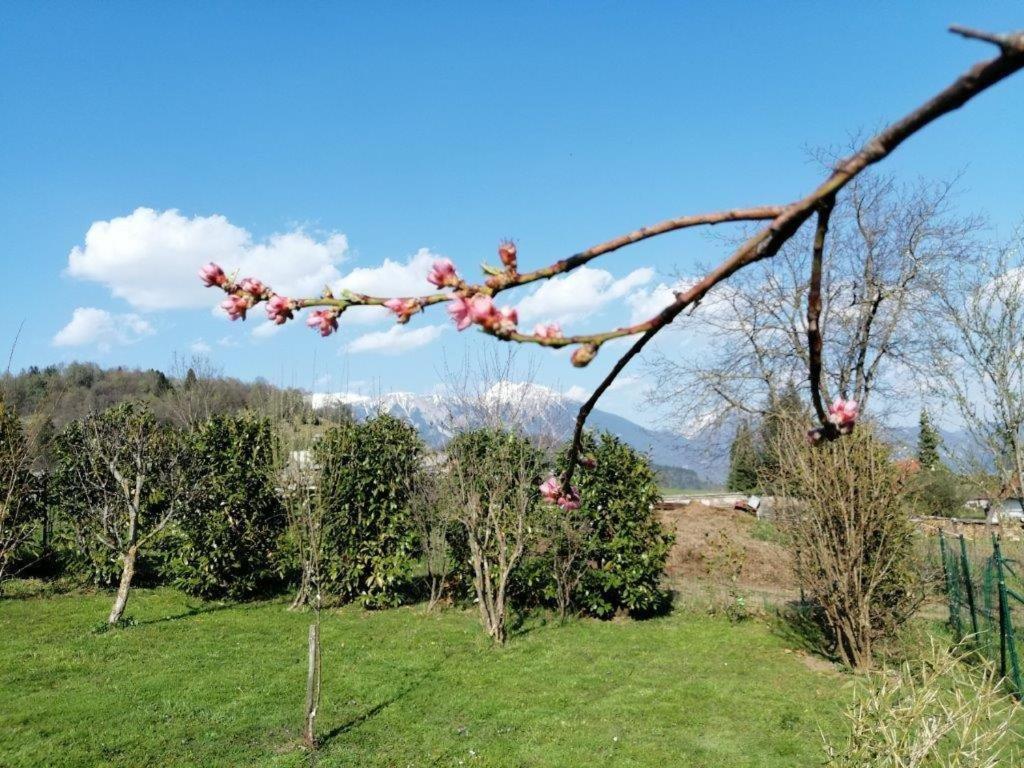 Wunderschone Ferienwohnung Mit Blick Auf Die Karawanken Zgornje Gorje Exterior foto